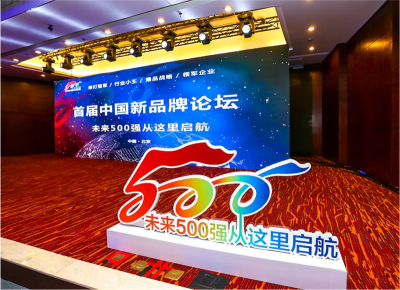莫在山腳談規(guī)劃，沖上山頂論英雄——首屆中國新品牌論壇力邀領(lǐng)軍企業(yè)現(xiàn)身說法